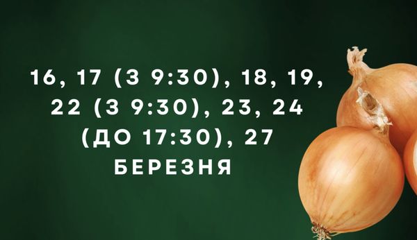 Просто «золоті дні»: відома городниця порадила, коли посіяти овочі у березні (відео)