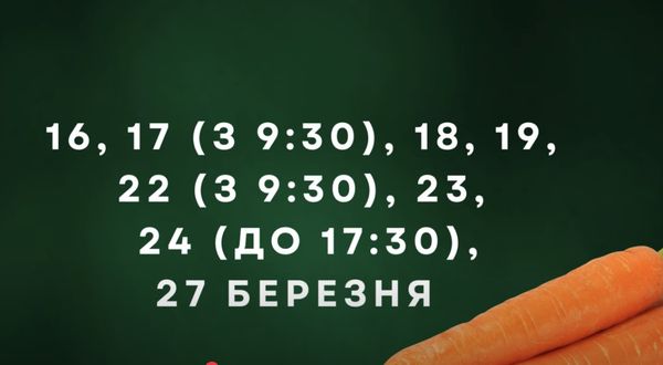 Просто «золоті дні»: відома городниця порадила, коли посіяти овочі у березні (відео)