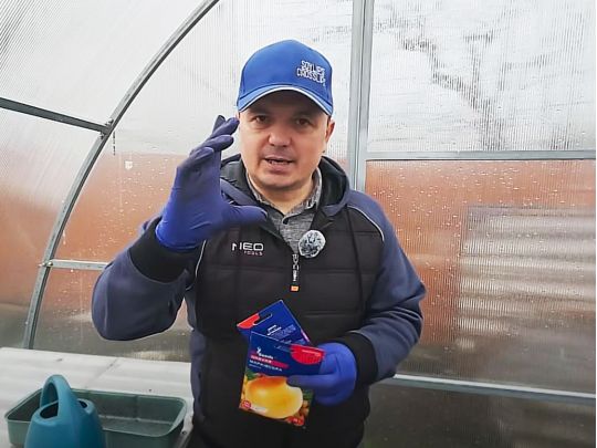 Важливий секрет для Київщини: аграрій Валерій назвав 3 сорти цибулі, які дадуть чудовий урожай
