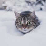 До -7 °С и первый снег: какая погода будет в Одессе на следующей неделе