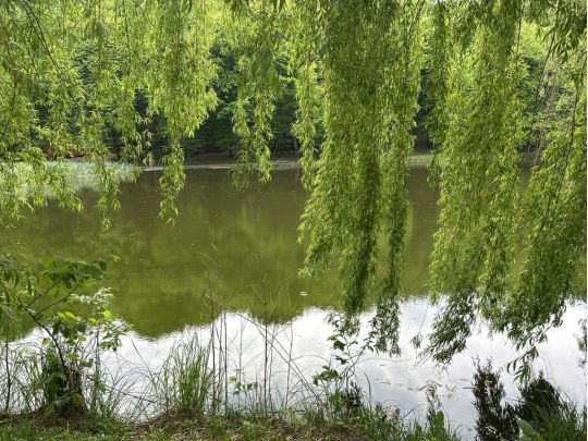 В&nbsp;Україну місцями нагрянуть сильні зливи, але стане тепліше: що&nbsp;кажуть синоптики про погоду на&nbsp;тижні 18&nbsp;&mdash; 24 травня